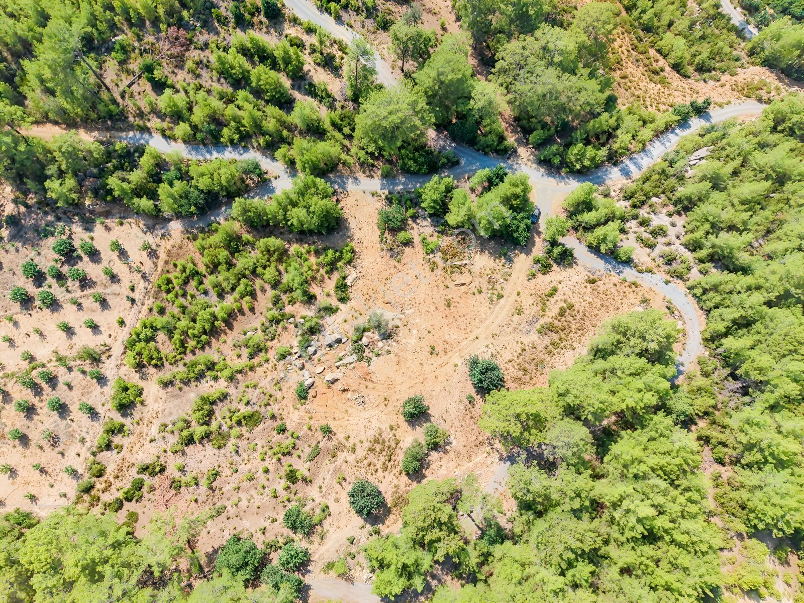 Saburlar Köyü Yol Kenarı 3.987 M² Rızai Taksimli Hisseli Tarla — fotoğraf 8