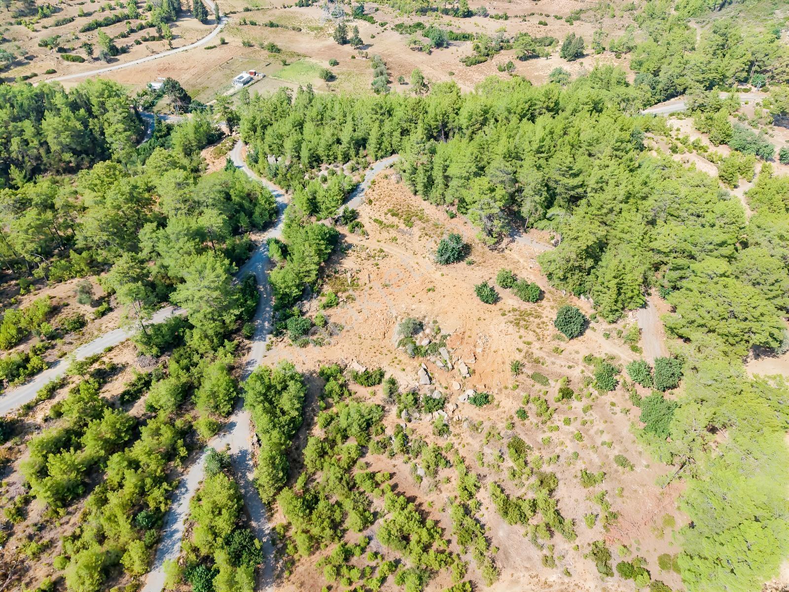 Saburlar Köyü Yol Kenarı 3.987 M² Rızai Taksimli Hisseli Tarla — fotoğraf 9