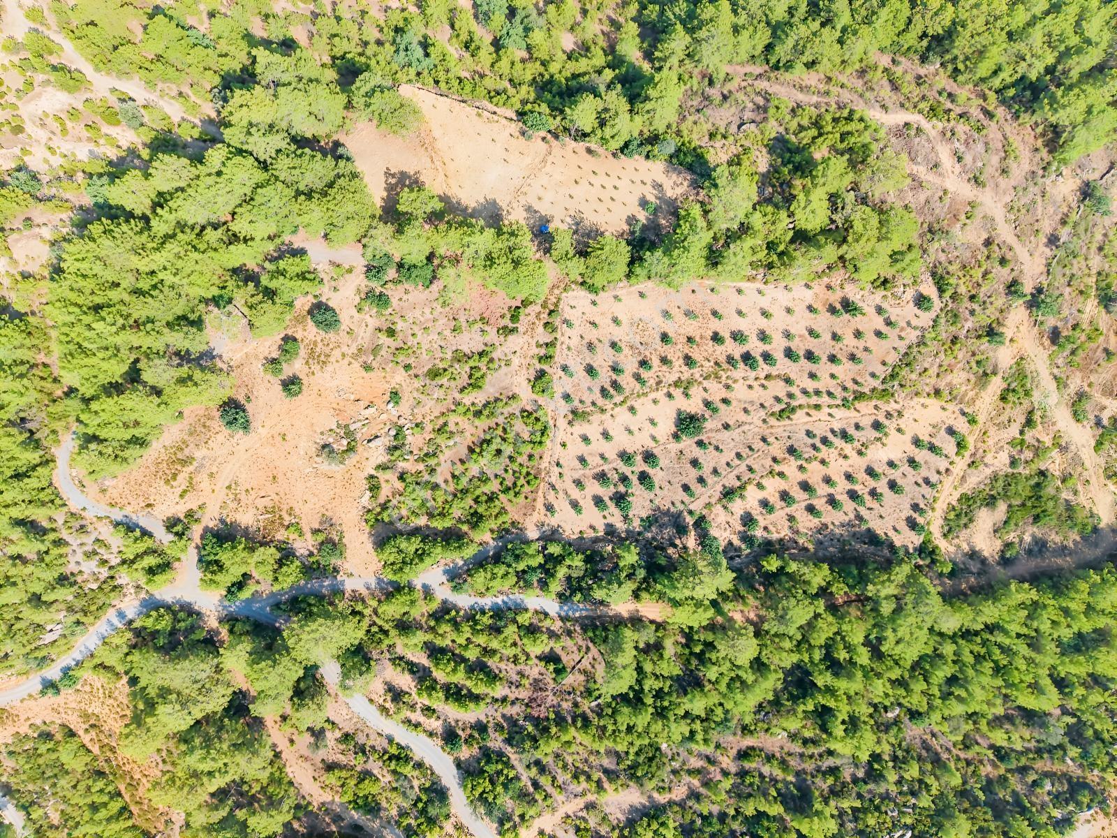 Saburlar Köyü Yol Kenarı 3.987 M² Rızai Taksimli Hisseli Tarla — fotoğraf 10