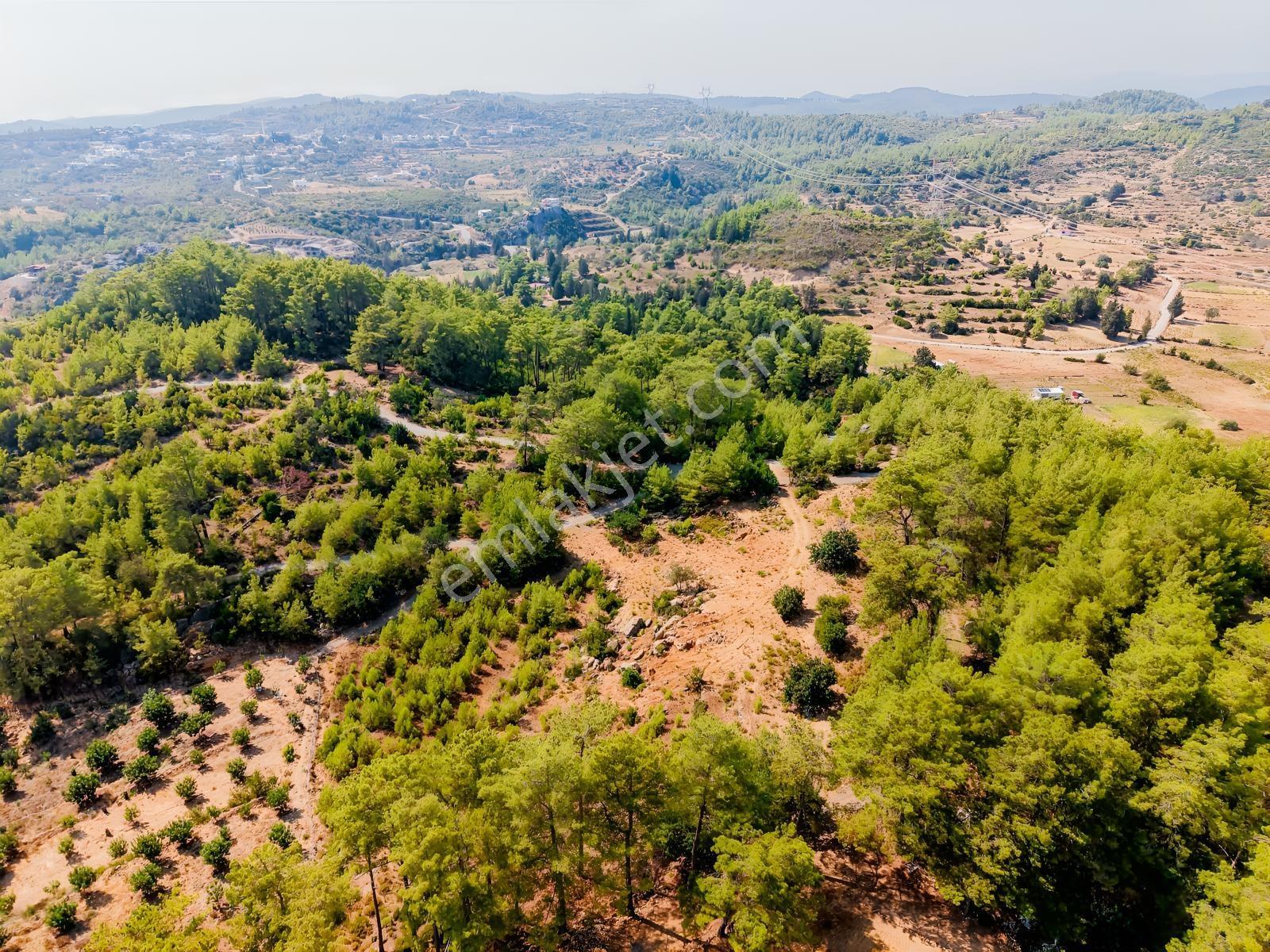 Saburlar Köyü Yol Kenarı 3.987 M² Rızai Taksimli Hisseli Tarla — fotoğraf 11
