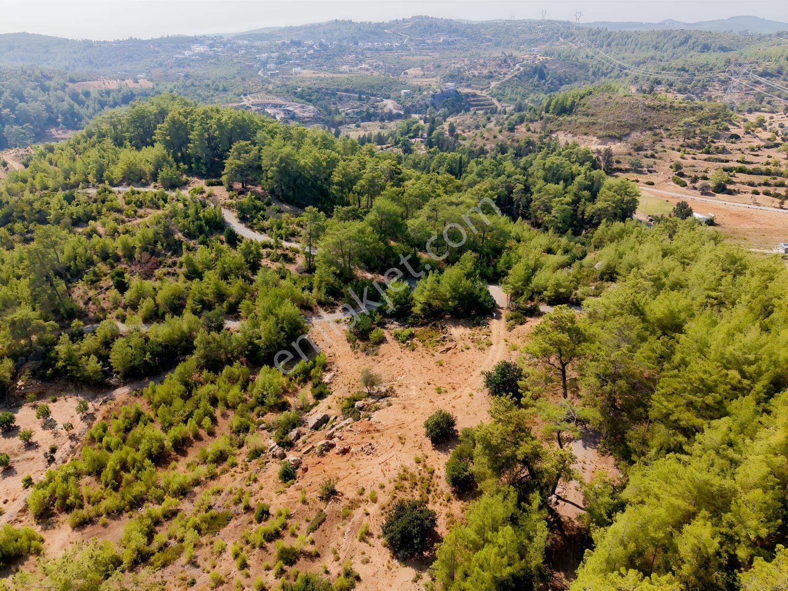 Saburlar Köyü Yol Kenarı 3.987 M² Rızai Taksimli Hisseli Tarla — fotoğraf 12