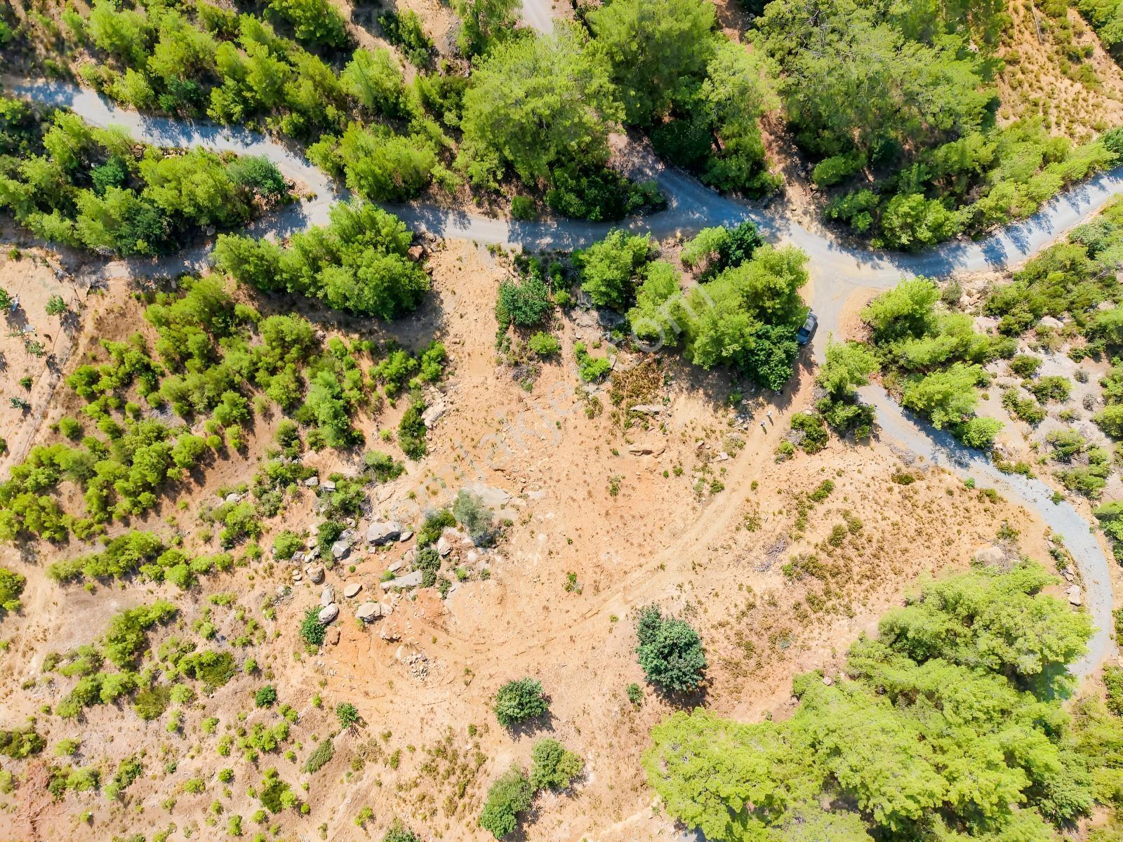 Saburlar Köyü Yol Kenarı 3.987 M² Rızai Taksimli Hisseli Tarla — fotoğraf 13