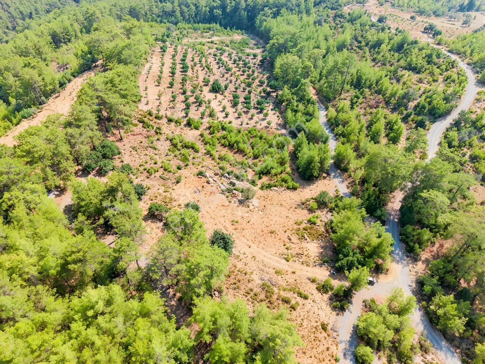 Saburlar Köyü Yol Kenarı 3.987 M² Rızai Taksimli Hisseli Tarla — fotoğraf 14