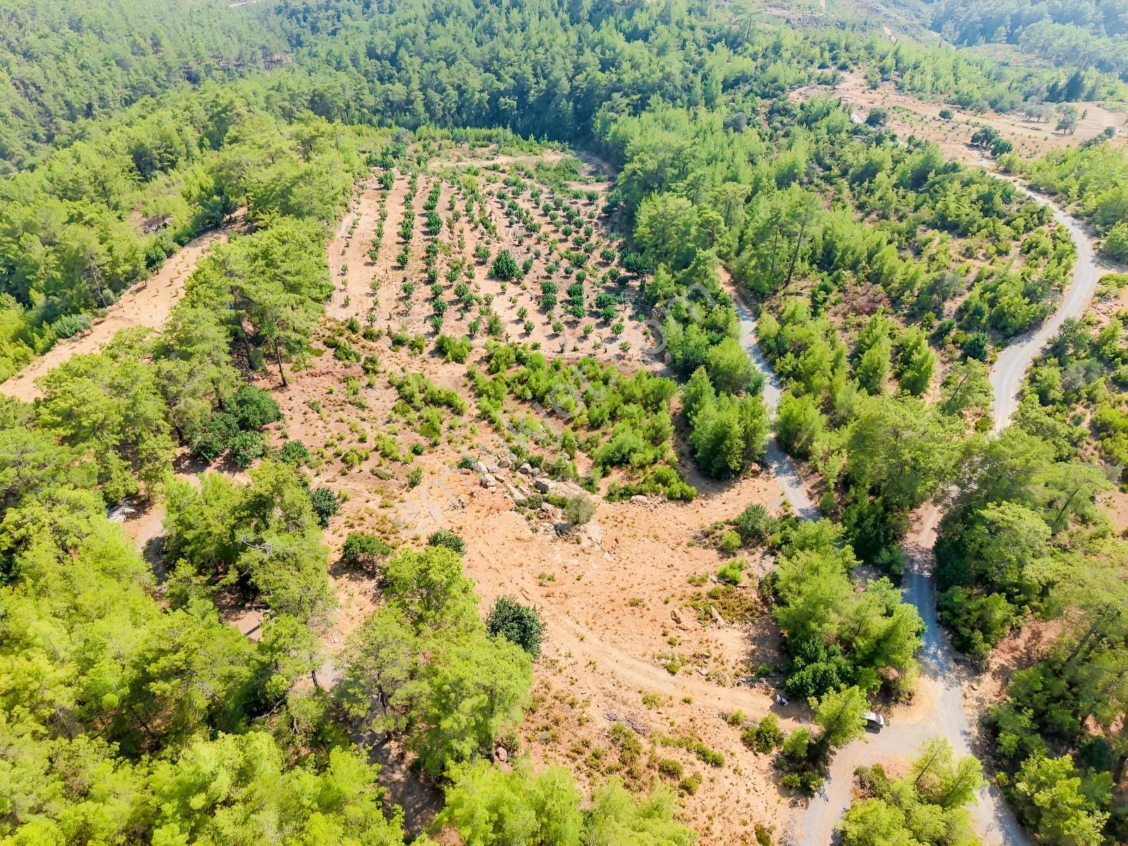Saburlar Köyü Yol Kenarı 3.987 M² Rızai Taksimli Hisseli Tarla — fotoğraf 15