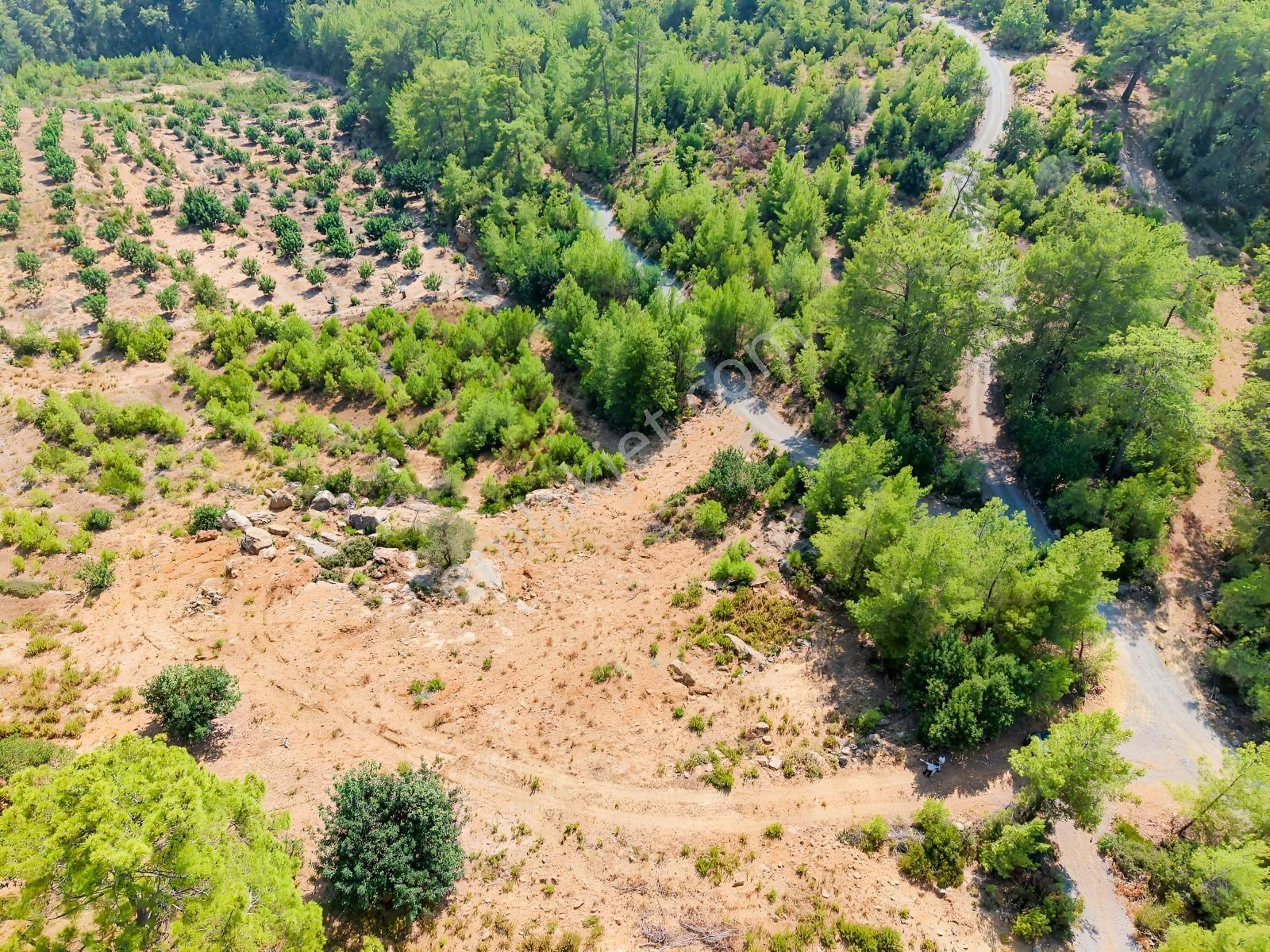Saburlar Köyü Yol Kenarı 3.987 M² Rızai Taksimli Hisseli Tarla — fotoğraf 16