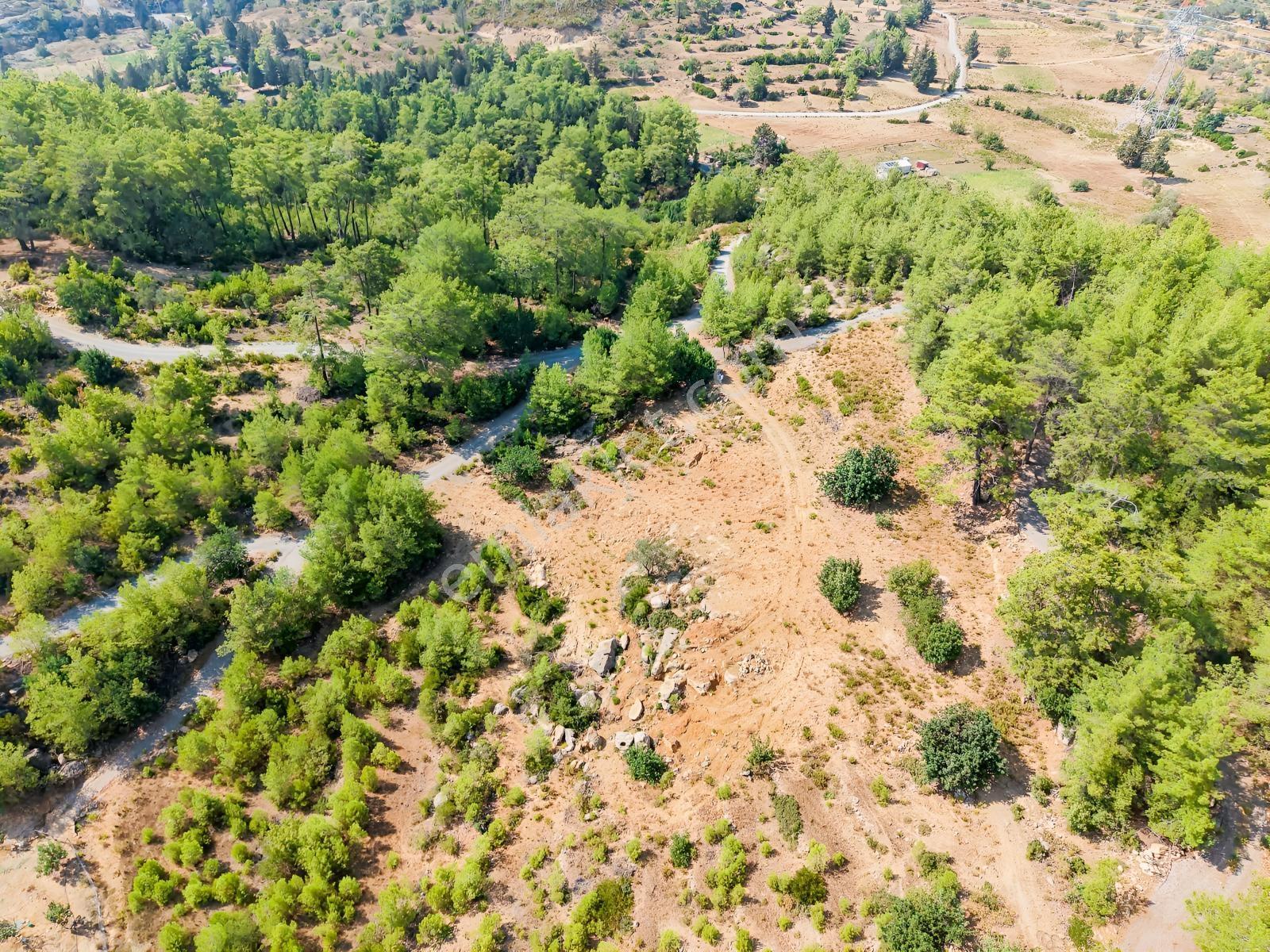 Saburlar Köyü Yol Kenarı 3.987 M² Rızai Taksimli Hisseli Tarla — fotoğraf 17