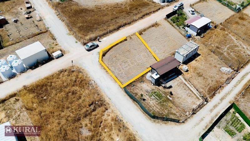 İzmir Menderes Tekelide Elektrik Suyu Aktif Köşe Noter Satışlı — fotoğraf 9