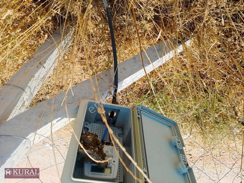 İzmir Menderes Tekelide Elektrik Suyu Aktif Köşe Noter Satışlı — fotoğraf 32