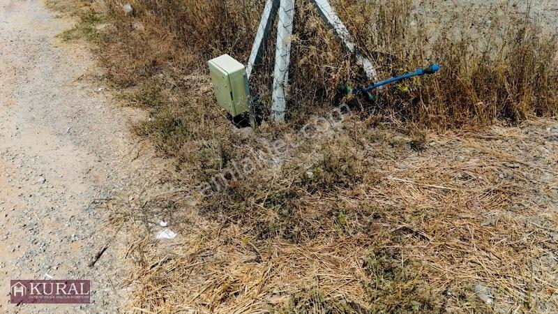 İzmir Menderes Tekelide Elektrik Suyu Aktif Köşe Noter Satışlı — fotoğraf 34