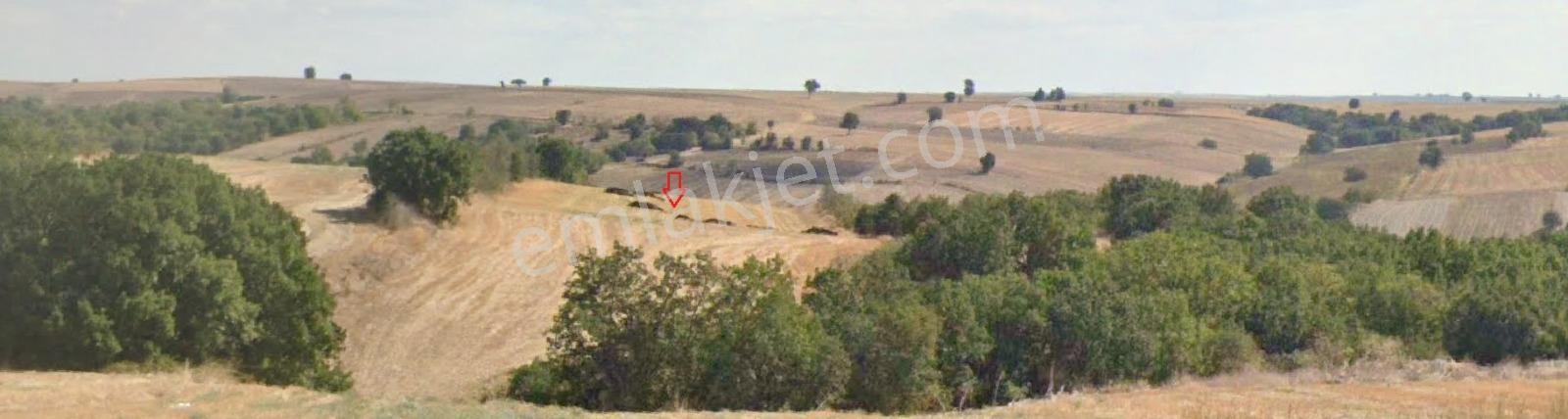 Edirne Merkez Büyükdöllük Köyünde Yatırımlık Arazi
