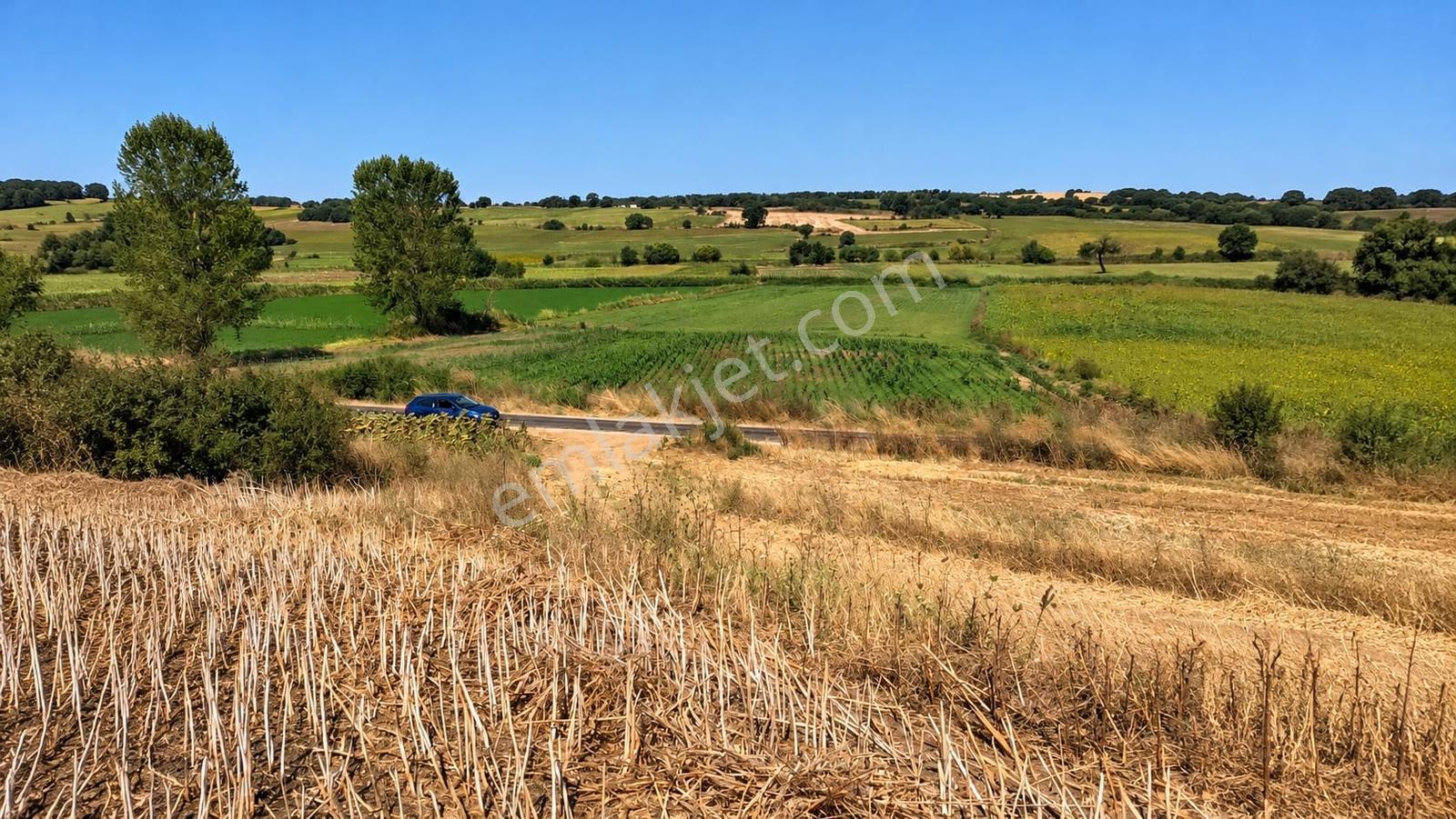 Edirne Keşan Küçükdoğanca Yatırmlık 11,150m2 Satılık Tarla — fotoğraf 2