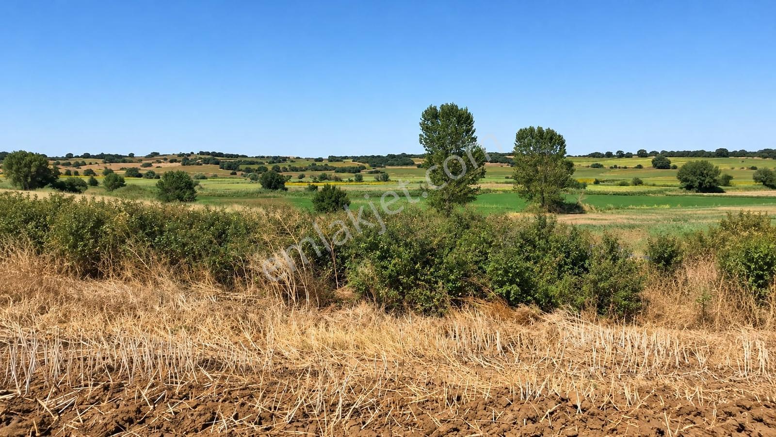 Edirne Keşan Küçükdoğanca Yatırmlık 11,150m2 Satılık Tarla — fotoğraf 5