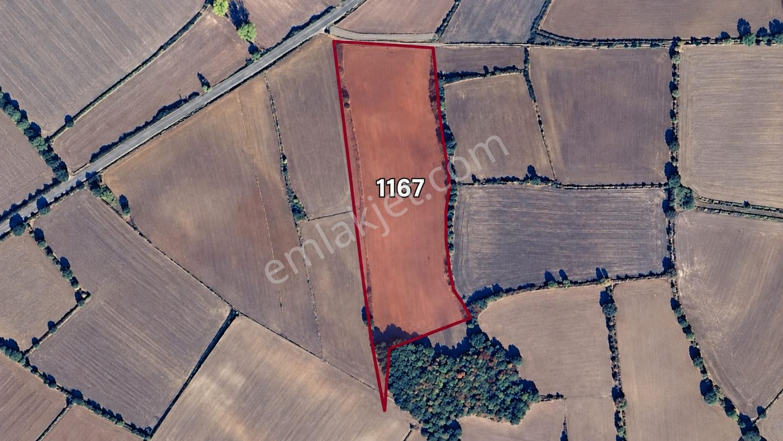 Edirne Keşan Küçükdoğanca Yatırmlık 11,150m2 Satılık Tarla — fotoğraf 6