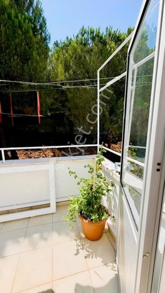 Mudanya Kumyaka Martı Sitesin De 3+1 Havuzlu Fırsat Daire — fotoğraf 6