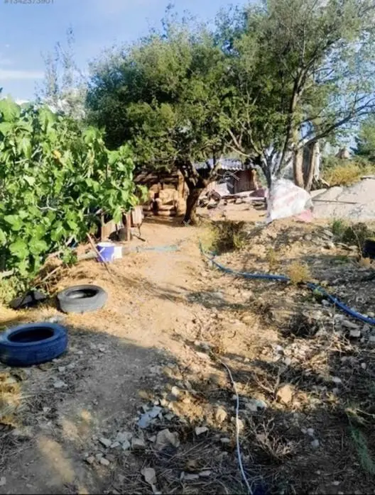 Antalya Ürünlüde Satılık 10 Dönüm Parsel Su Elektrik Yol Var — fotoğraf 3
