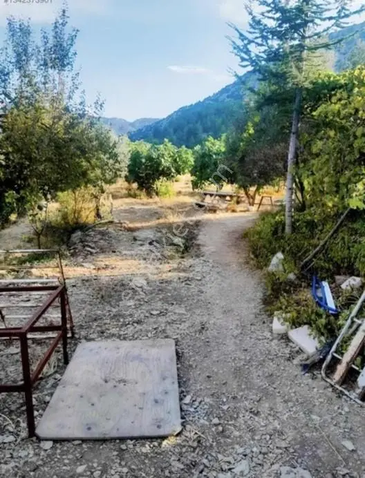 Antalya Ürünlüde Satılık 10 Dönüm Parsel Su Elektrik Yol Var — fotoğraf 8