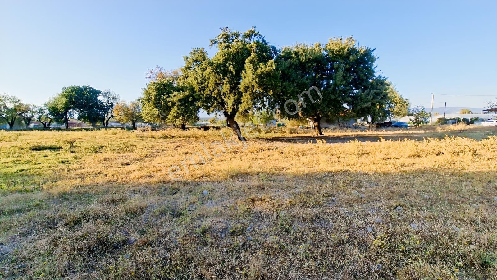 Rw Nefes'Ten Burhaniye Kızıklıda 3.916 M² Satılık Tarla