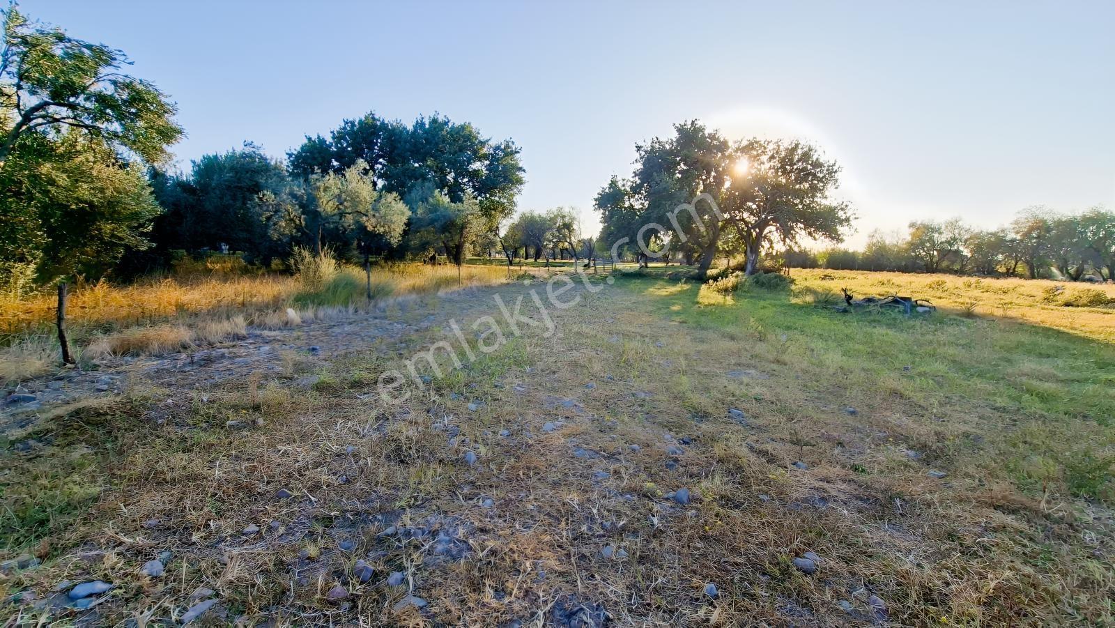 Rw Nefes'ten Burhaniye Kızıklıda 3.916 M² Satılık Tarla — fotoğraf 8