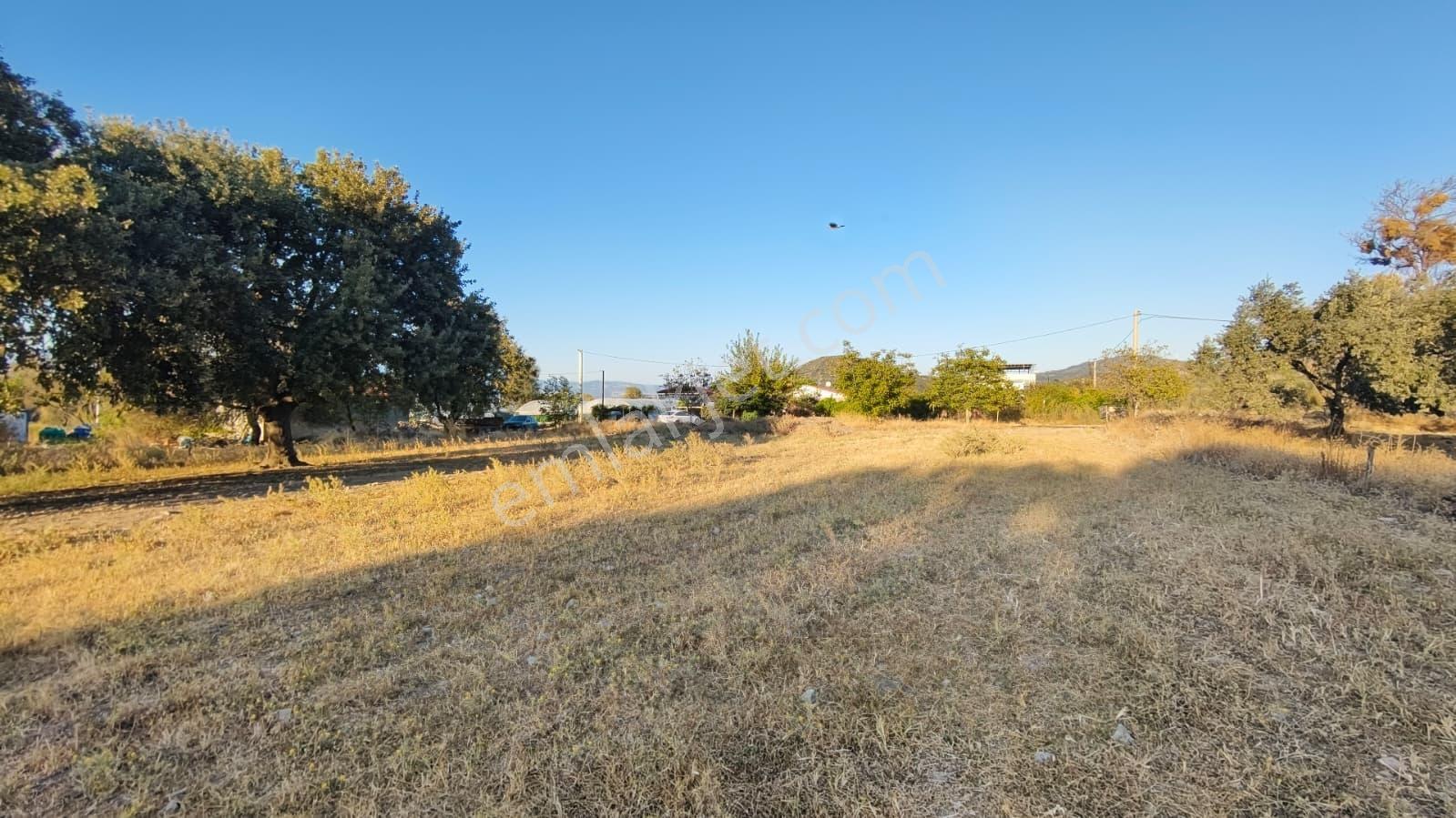 Rw Nefes'ten Burhaniye Kızıklıda 3.916 M² Satılık Tarla — fotoğraf 12