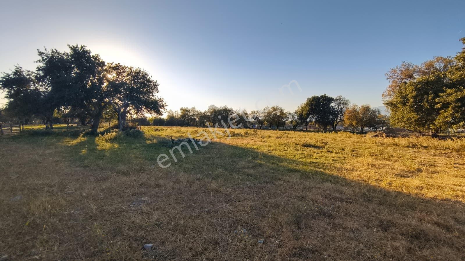 Rw Nefes'ten Burhaniye Kızıklıda 3.916 M² Satılık Tarla — fotoğraf 13