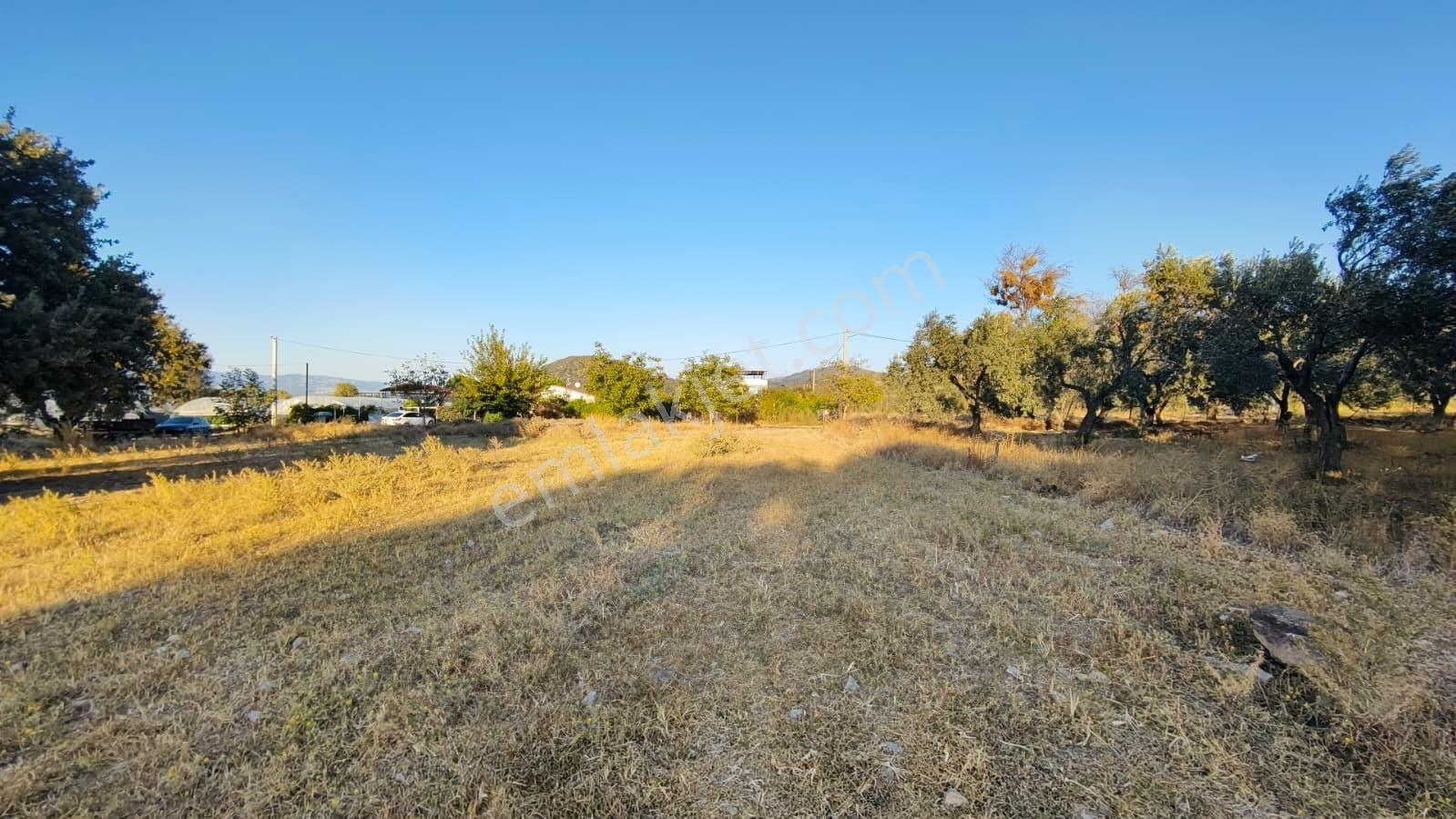 Rw Nefes'ten Burhaniye Kızıklıda 3.916 M² Satılık Tarla — fotoğraf 15