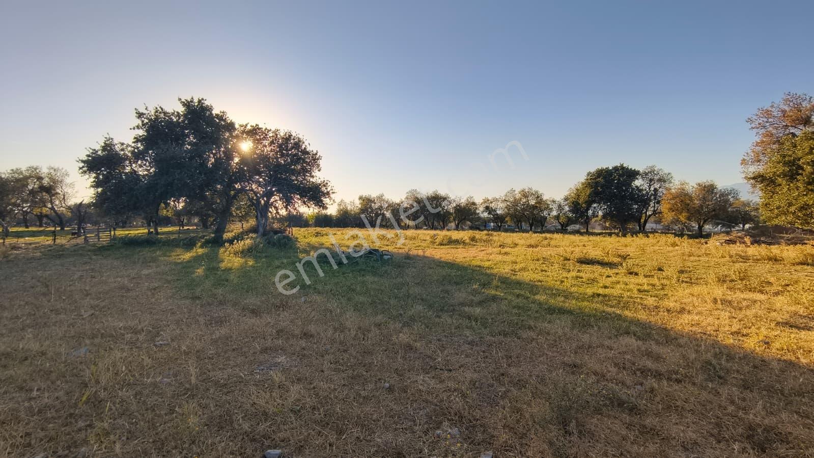 Rw Nefes'ten Burhaniye Kızıklıda 3.916 M² Satılık Tarla — fotoğraf 16