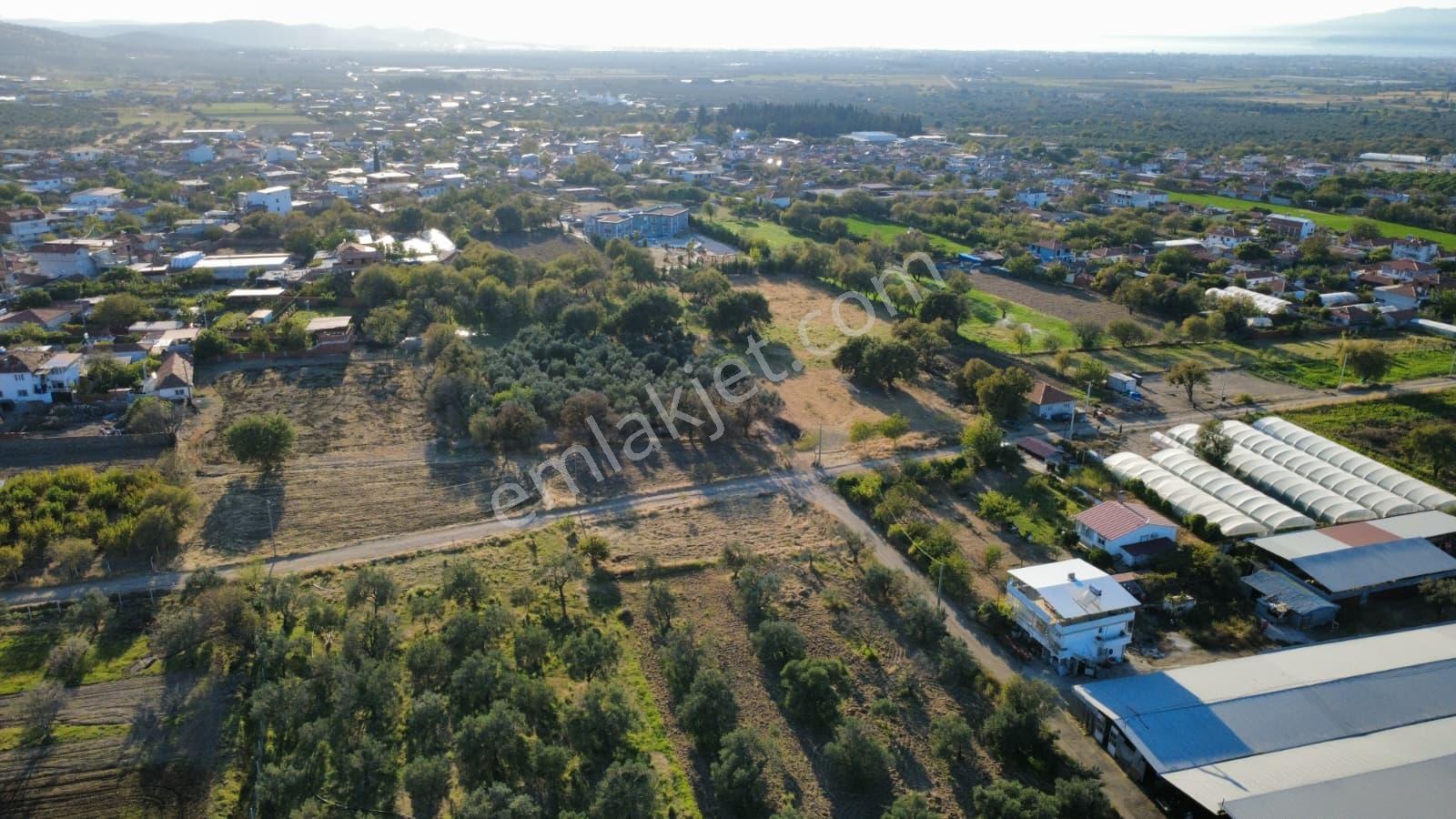 Rw Nefes'ten Burhaniye Kızıklıda 3.916 M² Satılık Tarla — fotoğraf 17