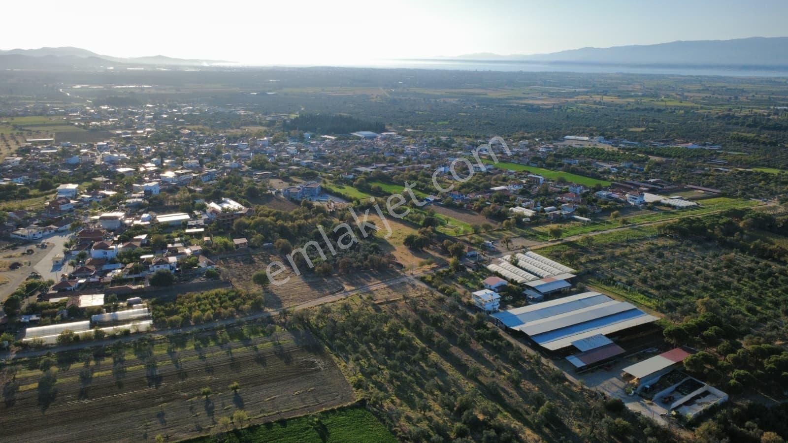 Rw Nefes'ten Burhaniye Kızıklıda 3.916 M² Satılık Tarla — fotoğraf 18