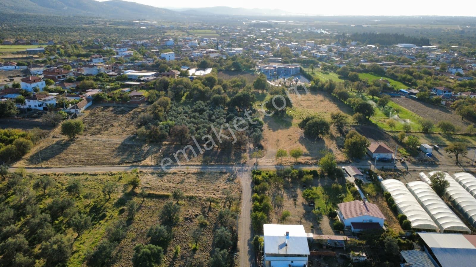Rw Nefes'ten Burhaniye Kızıklıda 3.916 M² Satılık Tarla — fotoğraf 19