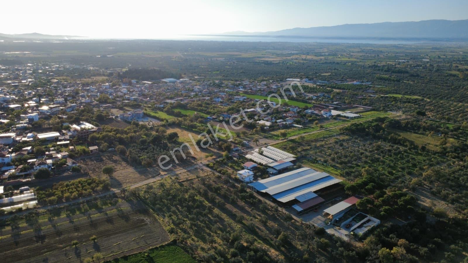 Rw Nefes'ten Burhaniye Kızıklıda 3.916 M² Satılık Tarla — fotoğraf 20