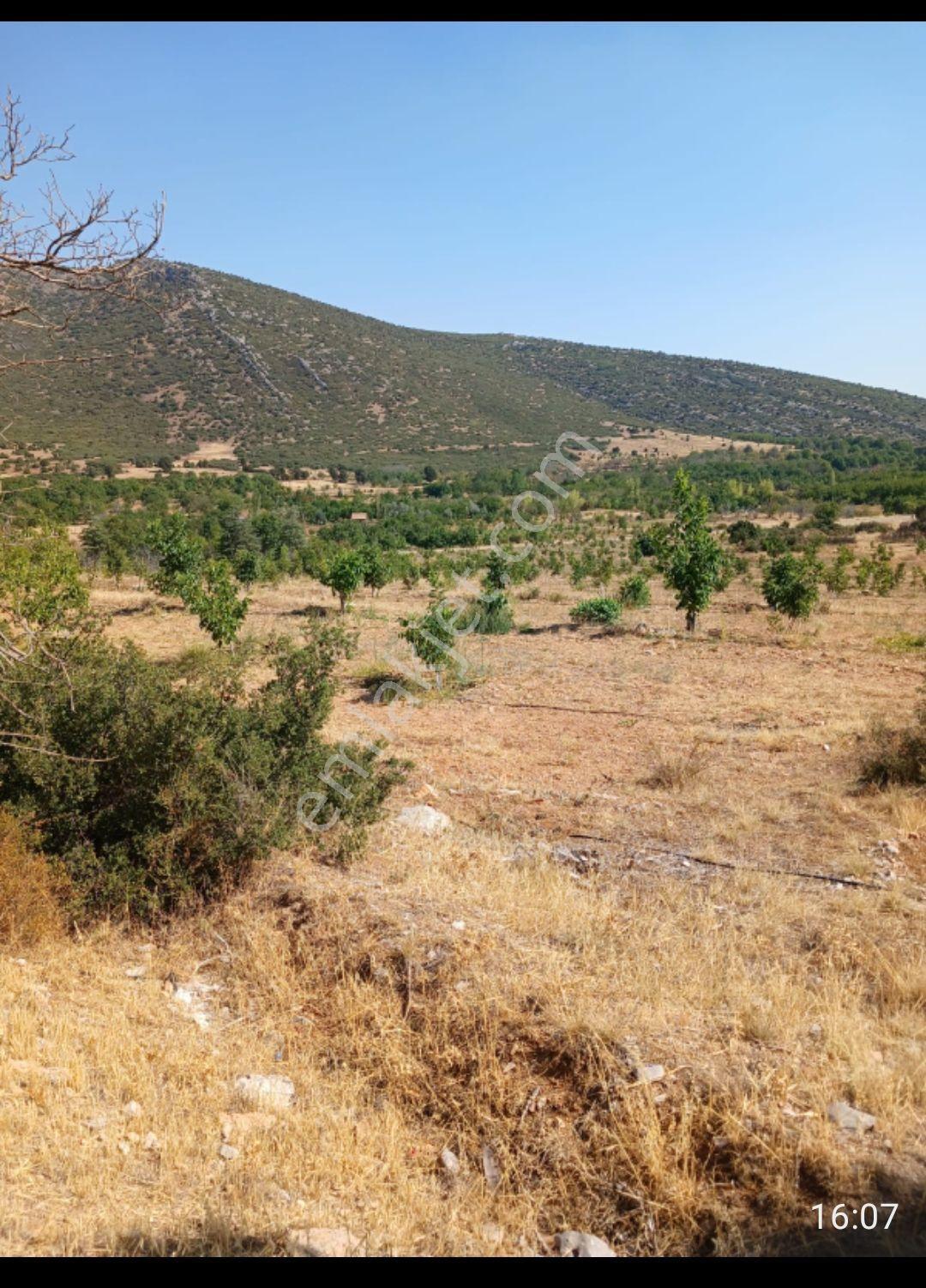 Şarkikaraağ Fele Mahallesi Satılık Hesaplı Tarla — fotoğraf 7