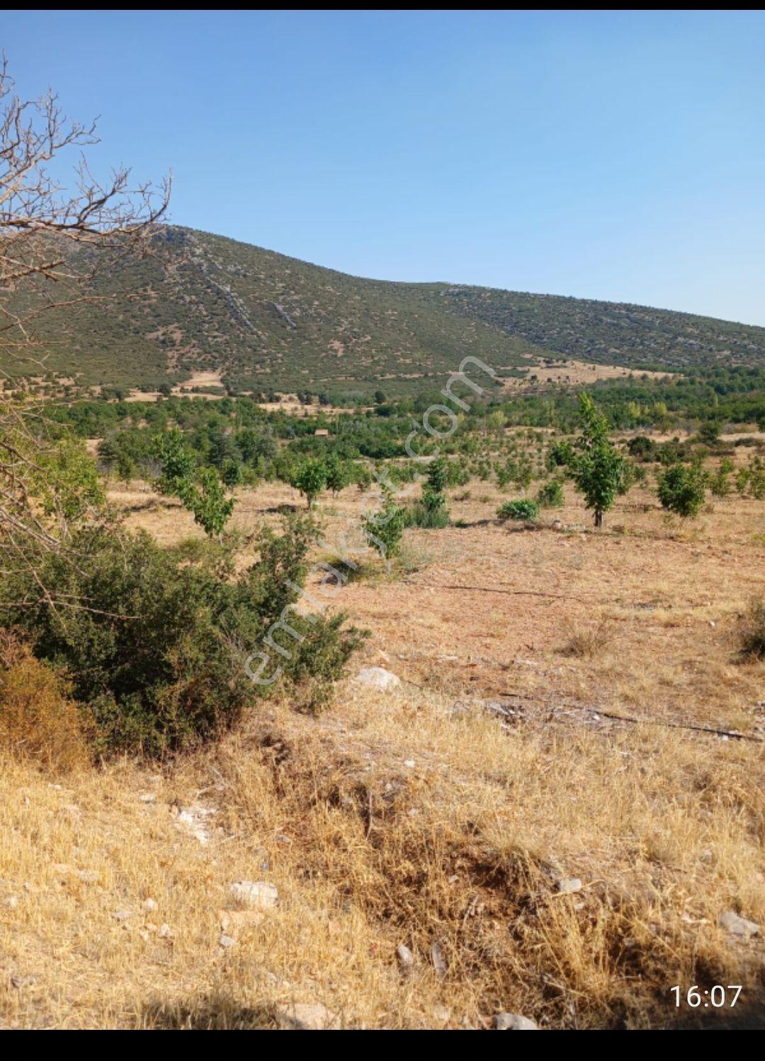 Şarkikaraağ Fele Mahallesi Satılık Hesaplı Tarla — fotoğraf 8