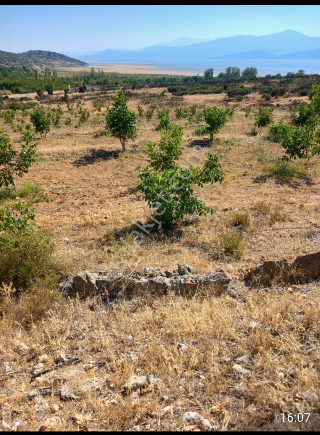 Şarkikaraağ Fele Mahallesi Satılık Hesaplı Tarla — fotoğraf 9