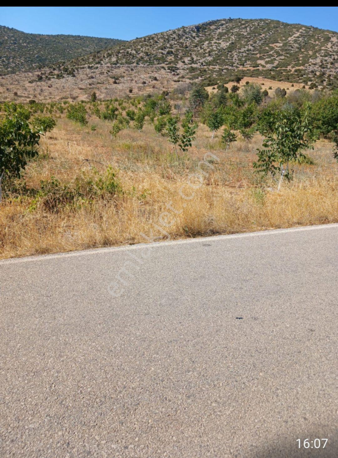 Şarkikaraağ Fele Mahallesi Satılık Hesaplı Tarla — fotoğraf 10