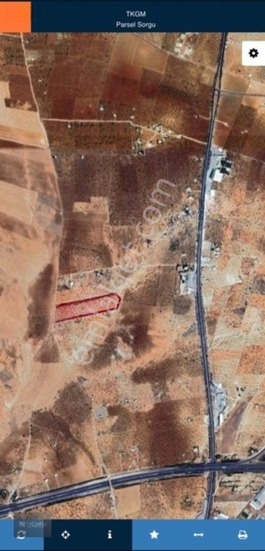 Kadir Saçaklı Emlak'tan 33.700 M² Fıstıklık — fotoğraf 3