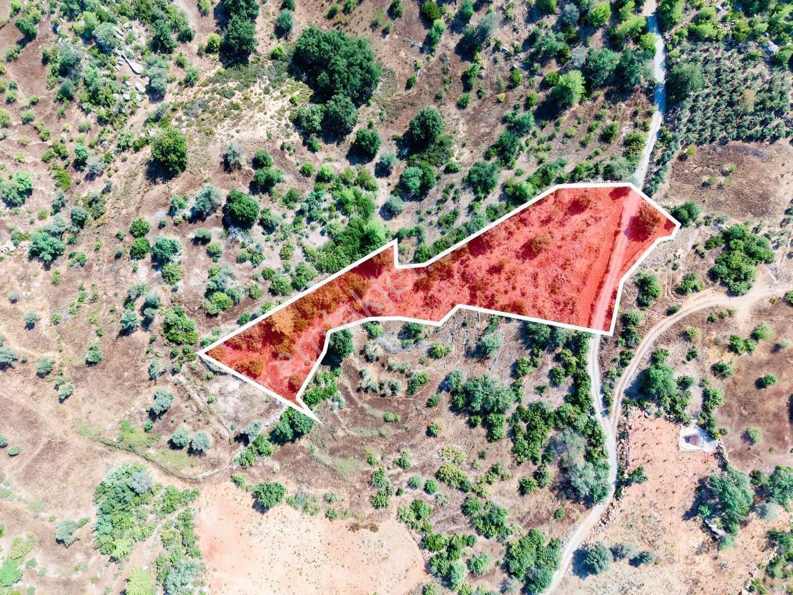Alanya Karamanlarda Yola Sıfır 5152 M2 Yatırımlık Tarla — fotoğraf 6