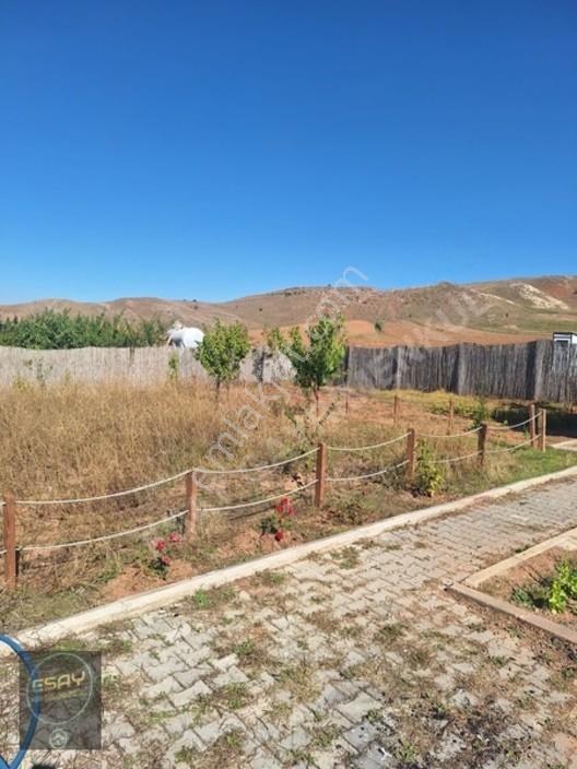 İşhan'da Satılık 569m² Hobi Bahçesi, Ahşap Evli, Elektrik-su — fotoğraf 8