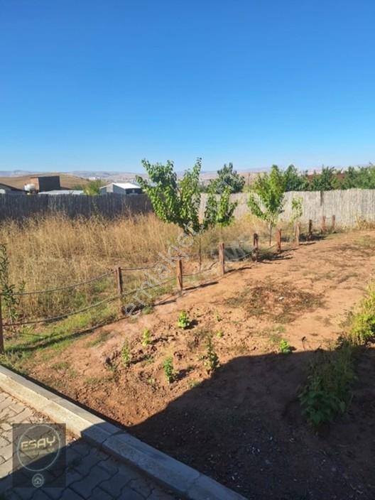 İşhan'da Satılık 569m² Hobi Bahçesi, Ahşap Evli, Elektrik-su — fotoğraf 10