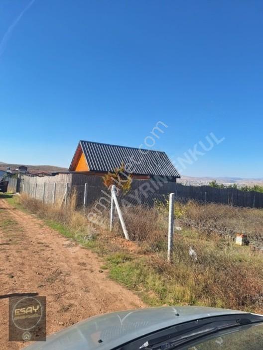 İşhan'da Satılık 569m² Hobi Bahçesi, Ahşap Evli, Elektrik-su — fotoğraf 13