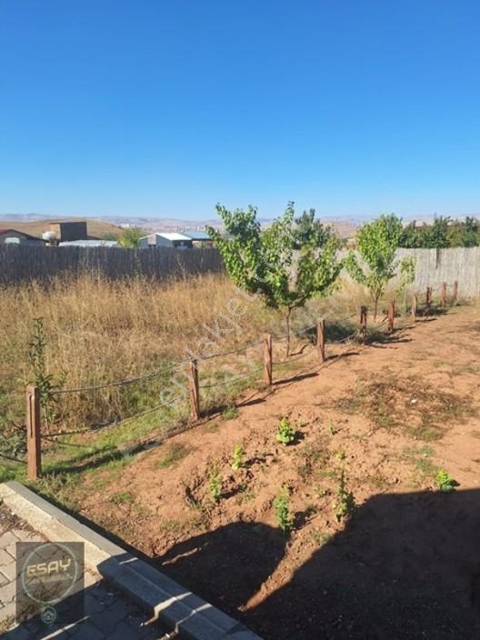 İşhan'da Satılık 569m² Hobi Bahçesi, Ahşap Evli, Elektrik-su — fotoğraf 22