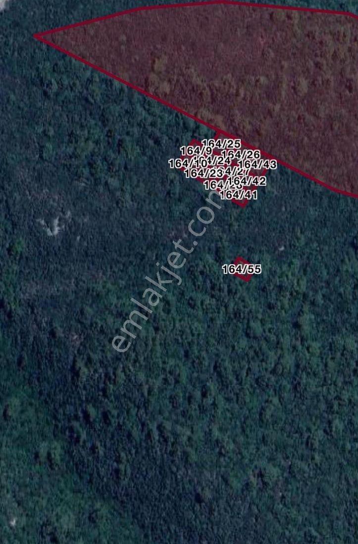Marmaris Çamlıda Deniz Manzaralı 270 M² Zeytinlik — fotoğraf 3