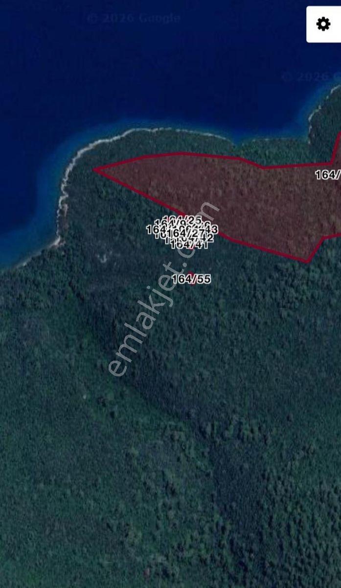 Marmaris Çamlıda Deniz Manzaralı 270 M² Zeytinlik — fotoğraf 4