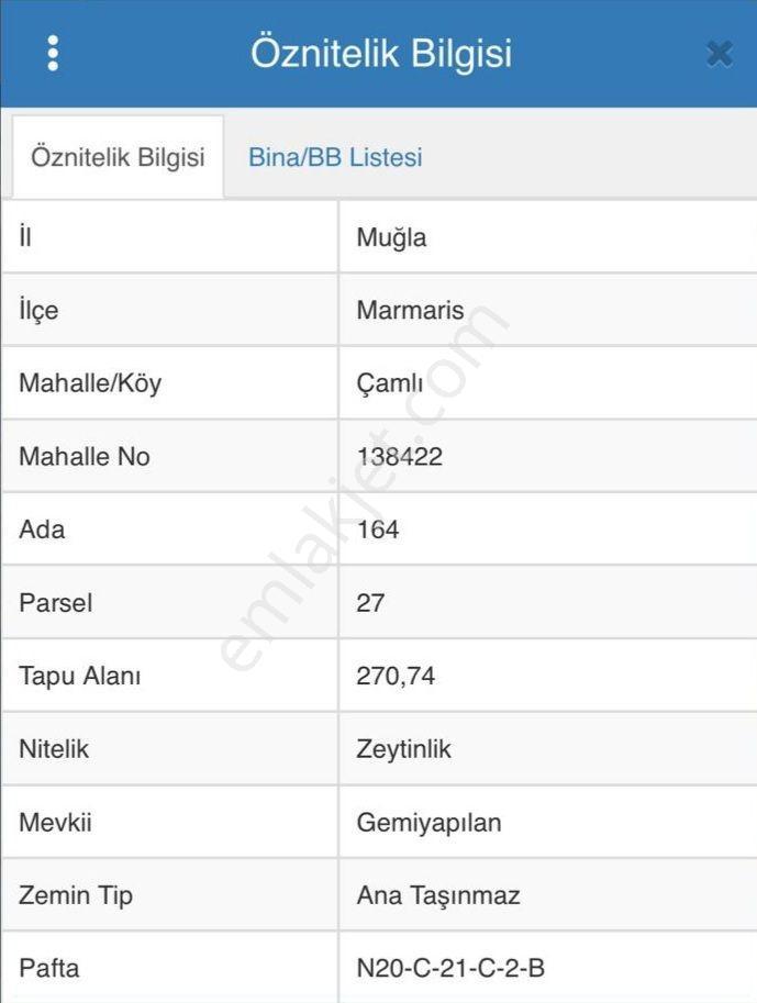 Marmaris Çamlıda Deniz Manzaralı 270 M² Zeytinlik — fotoğraf 5