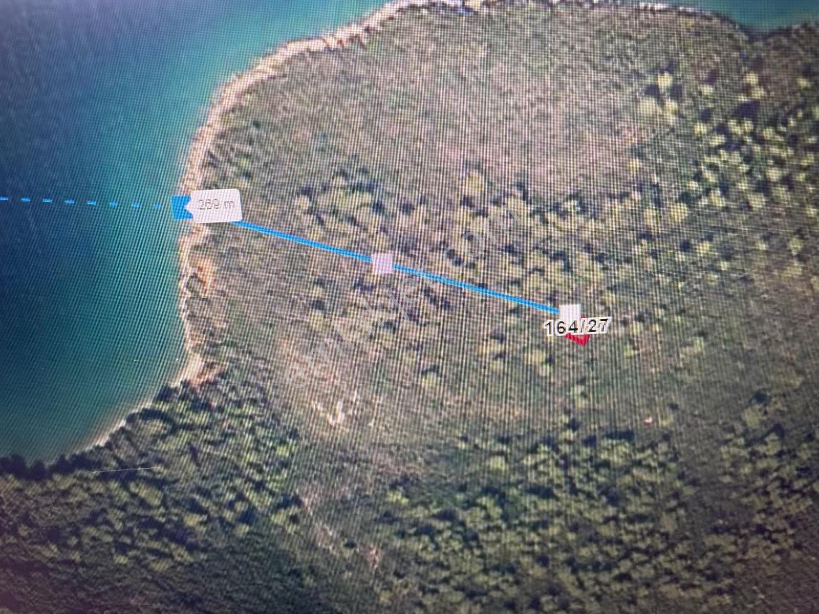 Marmaris Çamlıda Deniz Manzaralı 270 M² Zeytinlik — fotoğraf 7