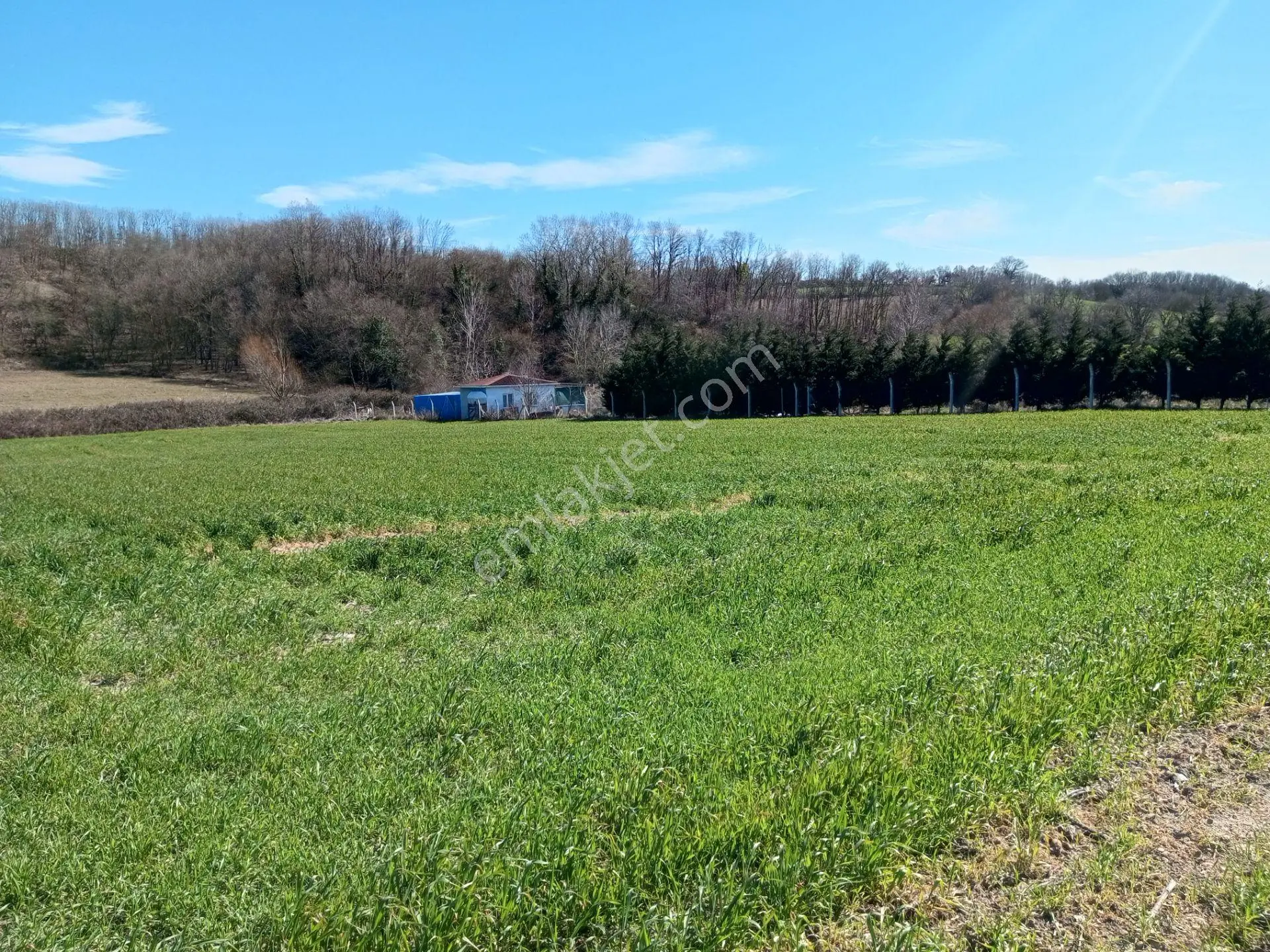 Ege Gayrimenkul'Den Büyükçavuşlu'Da 2900 M2 Tarla