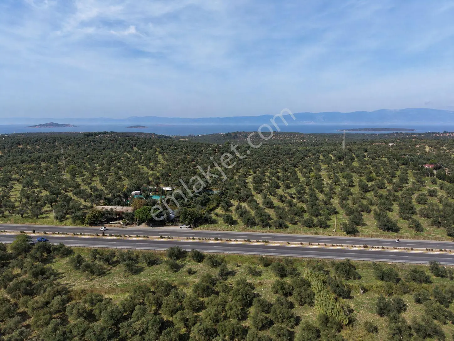 Mera Emlak Ayvalıkta Ana Asfalta Cephe 65 Dönüm Tarla-zeytinlik — fotoğraf 5