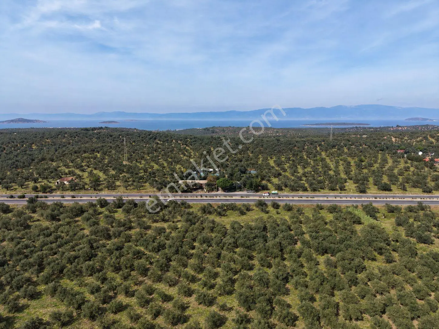 Mera Emlak Ayvalıkta Ana Asfalta Cephe 65 Dönüm Tarla-zeytinlik — fotoğraf 10