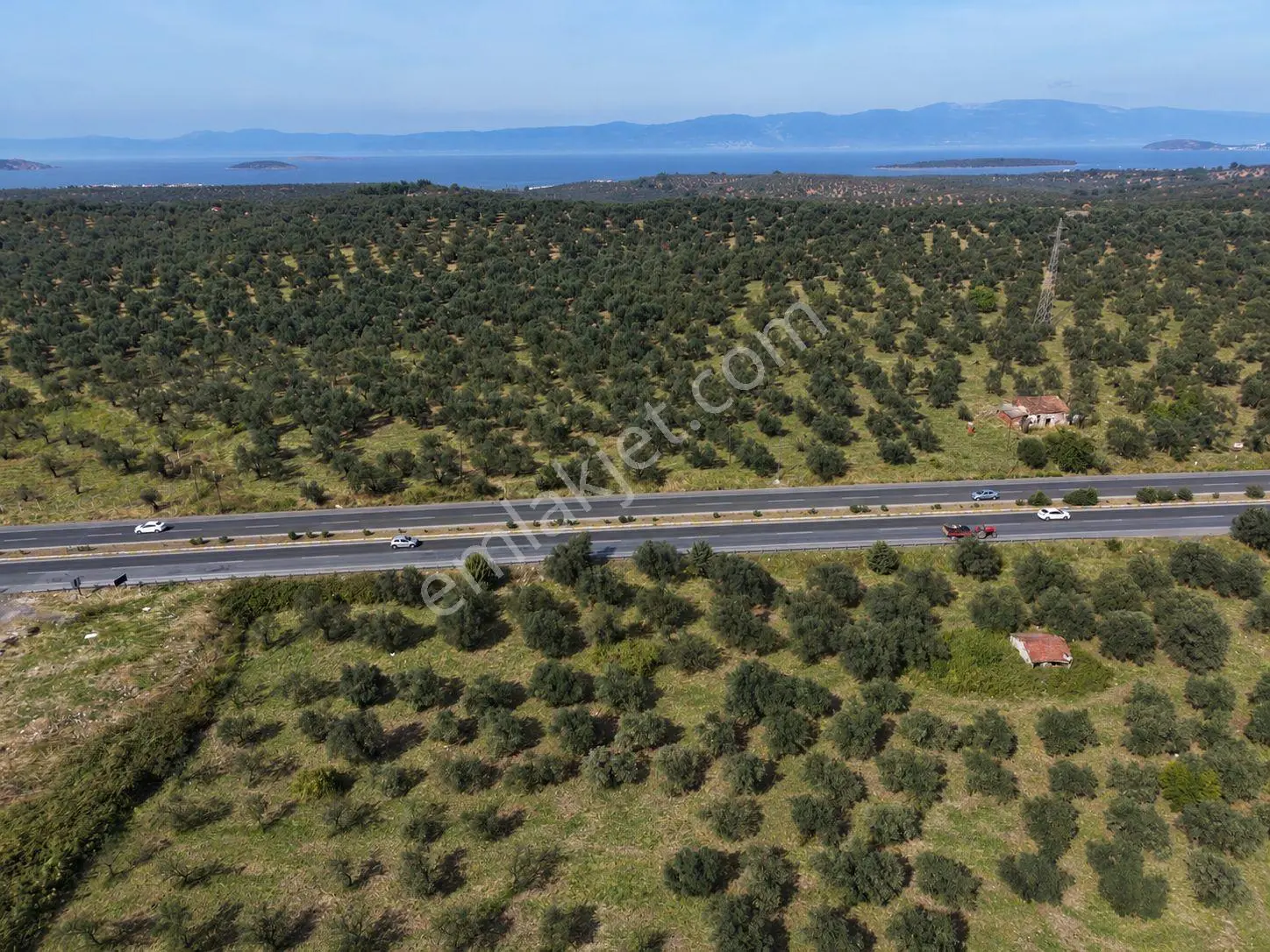 Mera Emlak Ayvalıkta Ana Asfalta Cephe 65 Dönüm Tarla-zeytinlik — fotoğraf 12