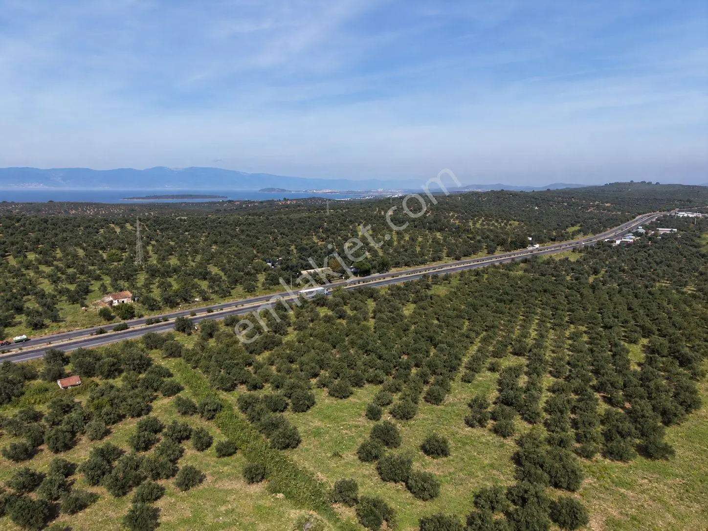 Mera Emlak Ayvalıkta Ana Asfalta Cephe 65 Dönüm Tarla-zeytinlik — fotoğraf 13