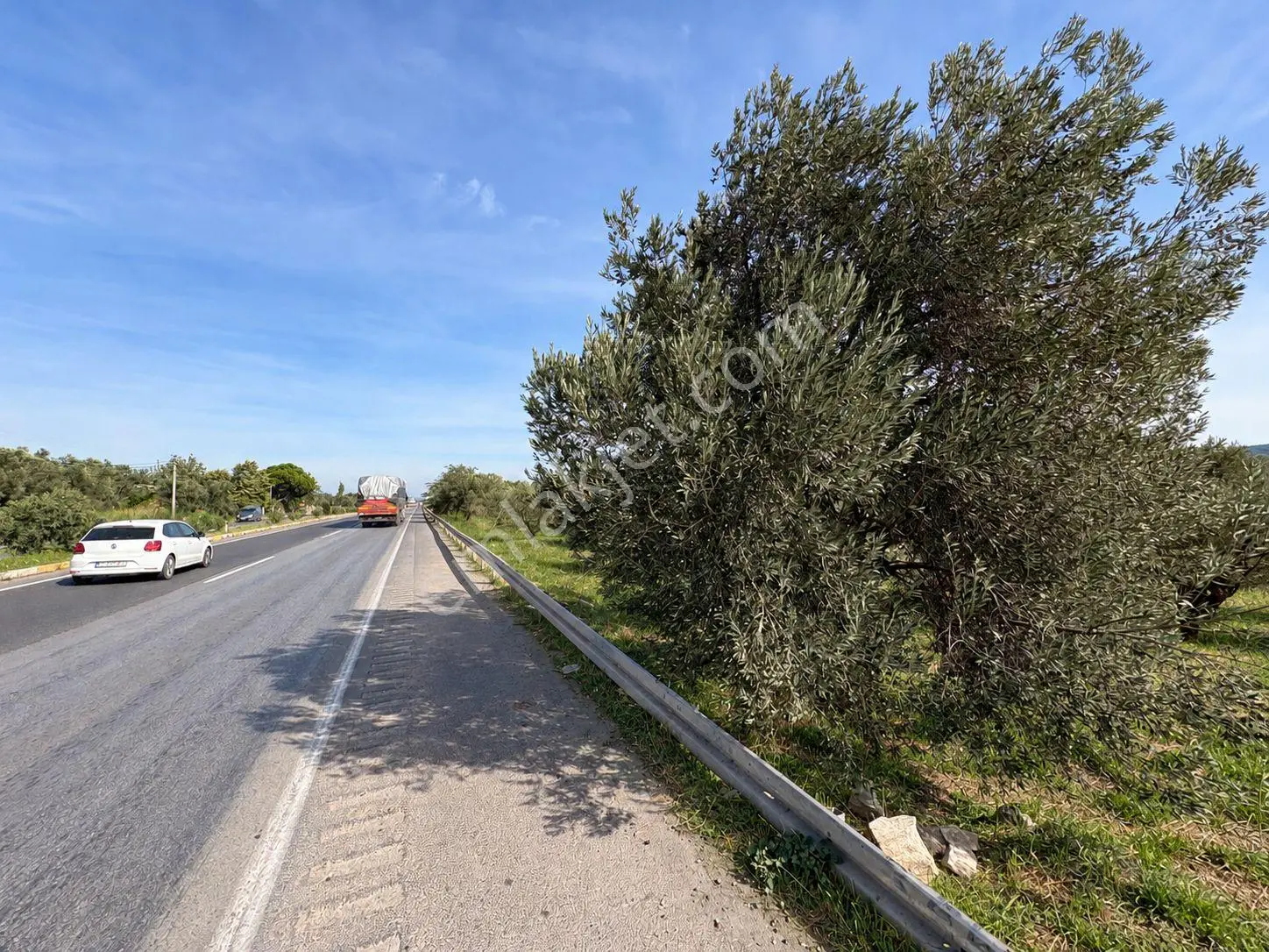 Mera Emlak Ayvalıkta Ana Asfalta Cephe 65 Dönüm Tarla-zeytinlik — fotoğraf 25